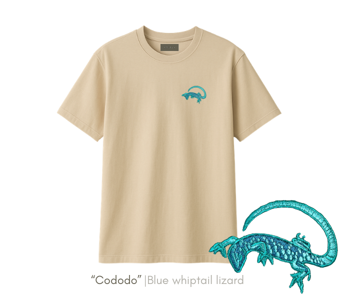CODODO